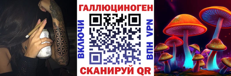 Купить закладки  Комсомольск  Галлюциногенные грибы Cubensis 